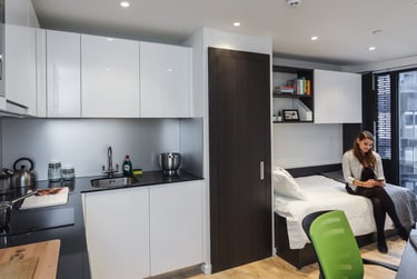 Studio Apartment - Westminster Bridge - Image 3