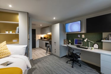 Studio - Platinum - Image 2