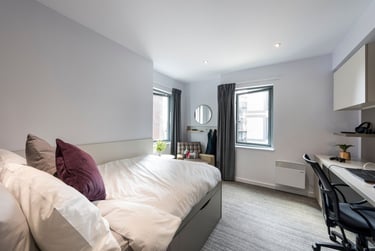 Studio - DDA/Platinum - Image 2