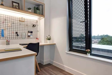 Studio Gold - Image 3