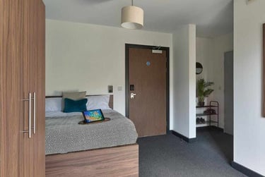 Gold Studio - Image 2