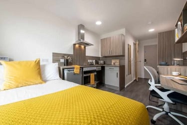 Studio Bronze - Image 1