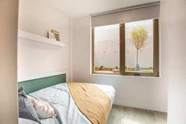 Classic Studio - Image 1