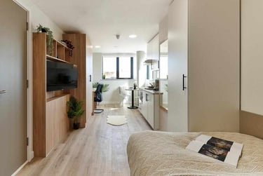 Accessible Platinum Plus Studio - Image 1