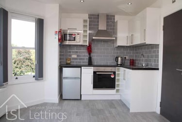 1 bed flat, Extra Large Studio, Demontfort Street, Highfields, Leicester, LE17GW - Image 2