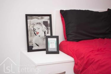 1 bed flat, Extra Large Studio, Demontfort Street, Highfields, Leicester, LE17GW - Image 4