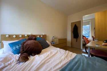 7 bed flat, Roath, Plasnewydd, Cardiff, CF243BT - Image 8