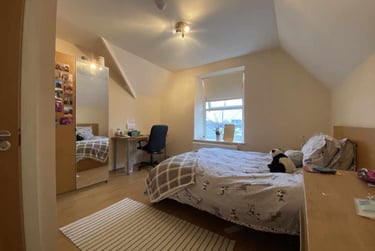 7 bed flat, Roath, Plasnewydd, Cardiff, CF243BT - Image 6