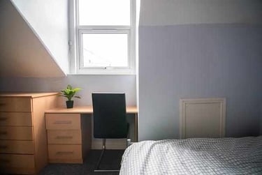 5 bed house, Newington Road, Sharrowvale, Sheffield, S118RZ - Image 6