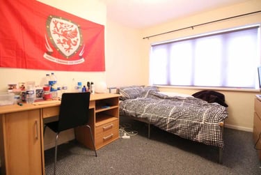 5 bed house, Roath, Plasnewydd, Cardiff, CF243EH - Image 3