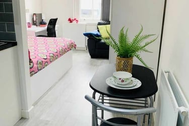 1 bed house, Extra Large Studio, Demontfort Street, Highfields, Leicester, LE17GW - Image 4