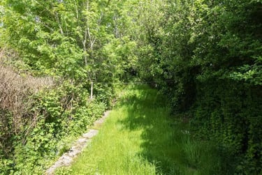 2 bed house, Reservoir Road, Selly Park, Birmingham, B296TF - Image 7