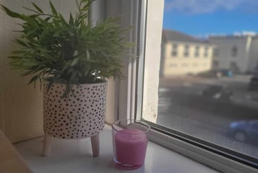 4 bed house, Roath, Plasnewydd, Cardiff, CF243JS - Image 12