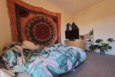 4 bed house, Roath, Plasnewydd, Cardiff, CF243JS - Image 8