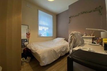 6 bed house, Roath, Plasnewydd, Cardiff, CF243JL - Image 9