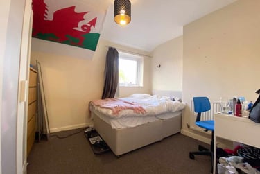 9 bed house, Cathays, Plasnewydd, Cardiff, CF244AT - Image 12