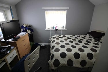 9 bed house, Cathays, Cardiff, CF244HZ - Image 3