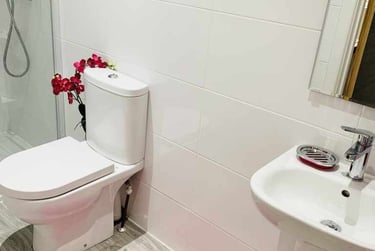 1 bed house, (Large Studio) Demontfort Street, Highfields, Leicester, LE17GW - Image 4