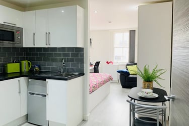 1 bed house, Extra Large Studio, Demontfort Street, Highfields, Leicester, LE17GW - Image 3