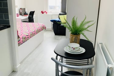 1 bed house, Extra Large Studio, Demontfort Street, Highfields, Leicester, LE17GW - Image 4