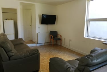 5 bed house, St Helens Avenue, Brynmill, Swansea, SA14NE - Image 3