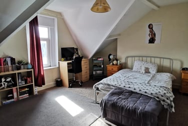 4 bed house, King Edwards Road, Brynmill, Swansea, SA14LW - Image 8