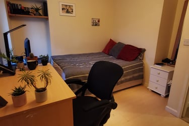 3 bed house, Catherine Street, Brynmill, Swansea, SA14JS - Image 5