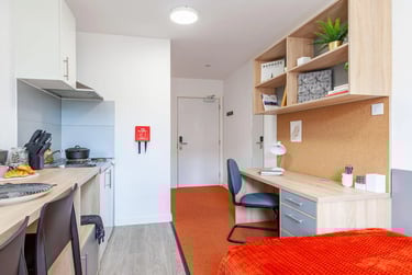 Classic Studio - Image 6