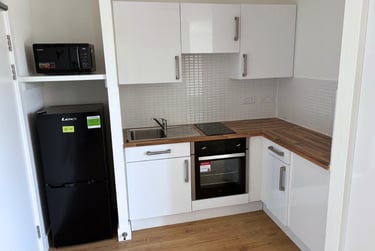 Extra Large Deluxe Studio - Image 5