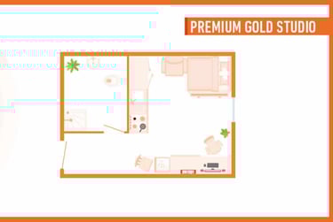 Premium Gold Studio - Image 2