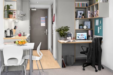 Studio Silver Premium - Image 2