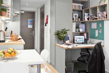 Studio Silver Premium Accessible - Image 3