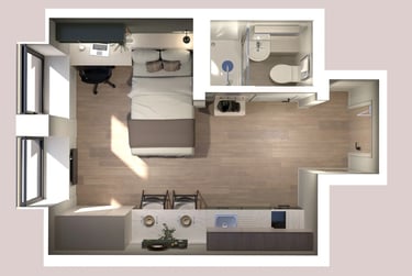 Deluxe Studio Plus - Image 2