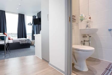 Studio Standard Plus - Image 5