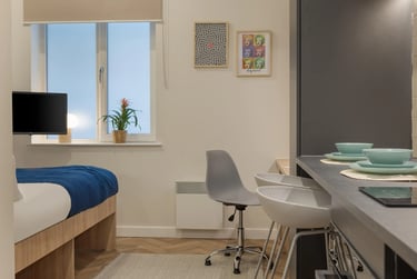 Standard Studio - Image 3