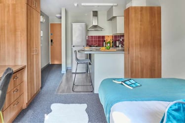 One Bedroom Flat Classic - Image 3