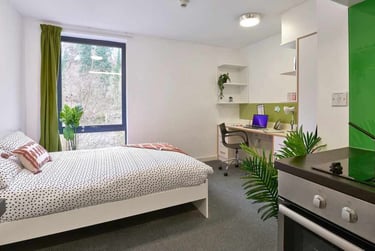 Studio Gold - Image 7