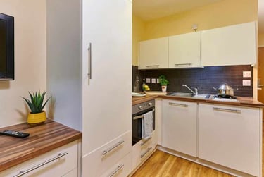 Studio Classic - Image 5