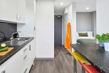 Studio Classic - Image 4