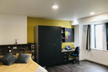 Deluxe Studio - Image 1