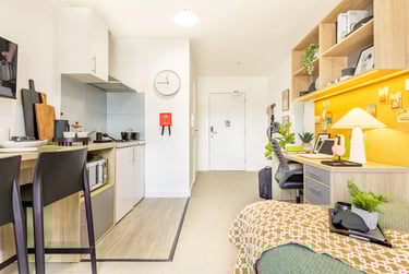 Premium Plus Studio - Image 10