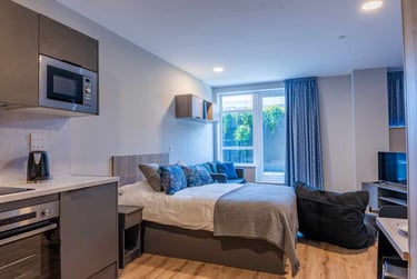 Platinum Studio With Terrace - Image 1