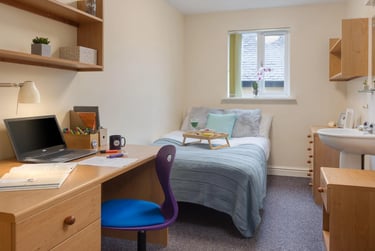 Classic Plus - Image 4