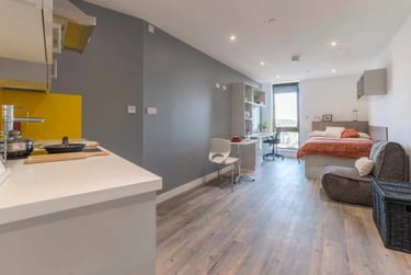 Premium Gold Studio - Image 9