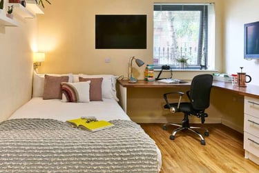 Studio Classic - Image 1