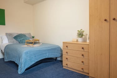 Classic Plus - Image 1