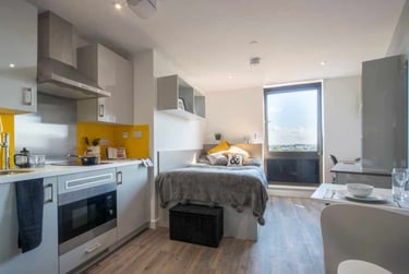 Premium Gold Studio - Image 1