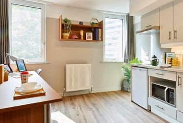 Studio Penthouse Plus at The Helix, North End Road, Wembley, London, HA90UU - Image 4