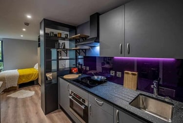 Deluxe Studio - Image 4