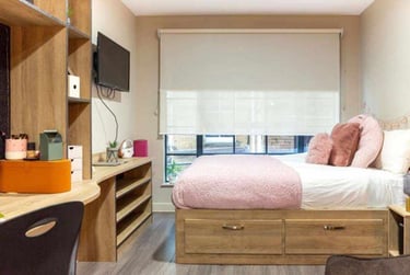 Premium Studio Plus - Image 3